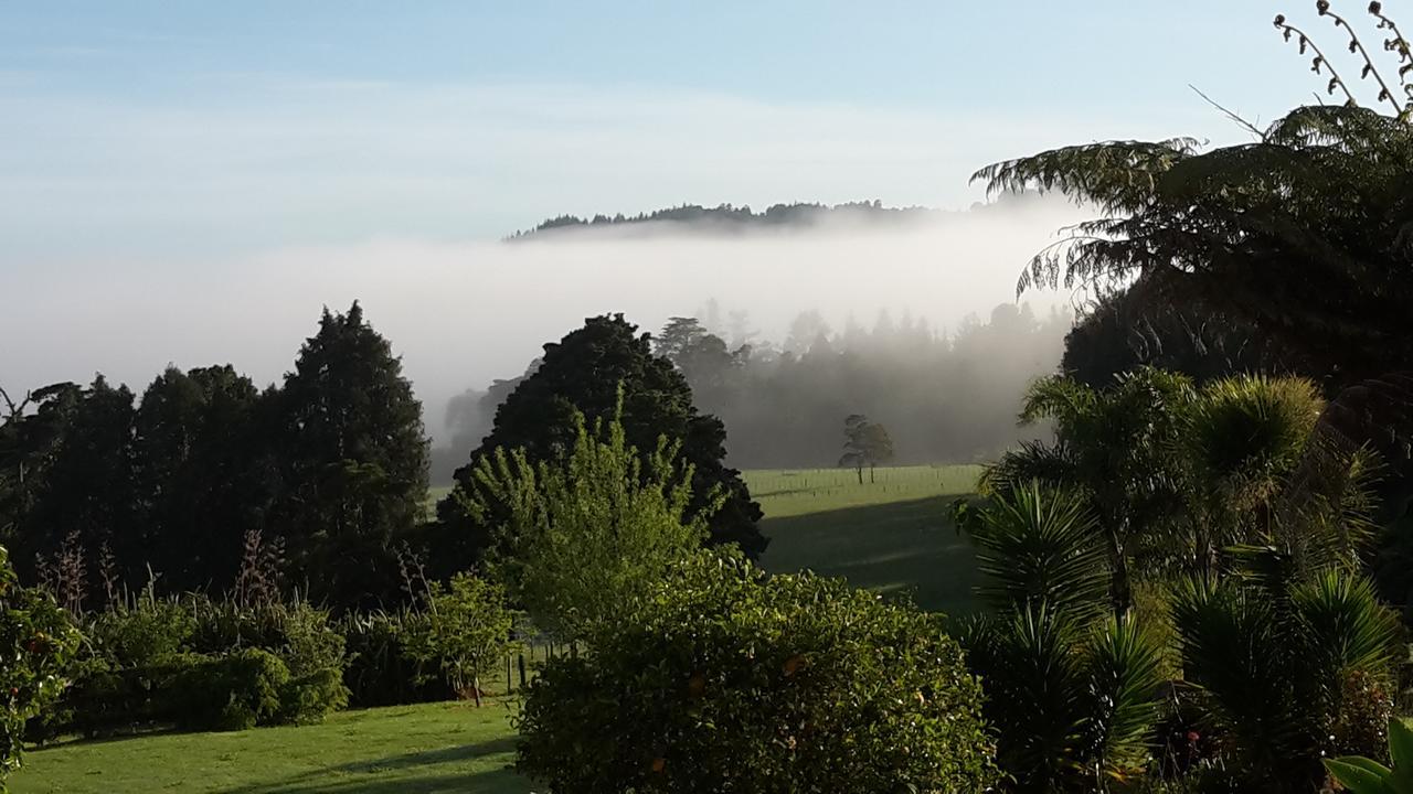 Vinegar Hill Bed and Breakfast Kauri Esterno foto